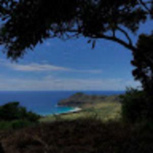 Meet your Posher, Sofia